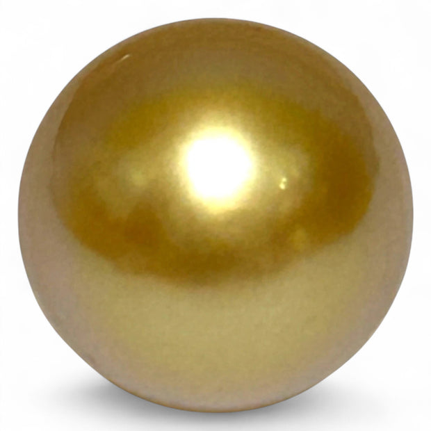 Magnificent Oval 14.6 x 16.8mm 23.2 Carats Golden Philippine Sea Pearl