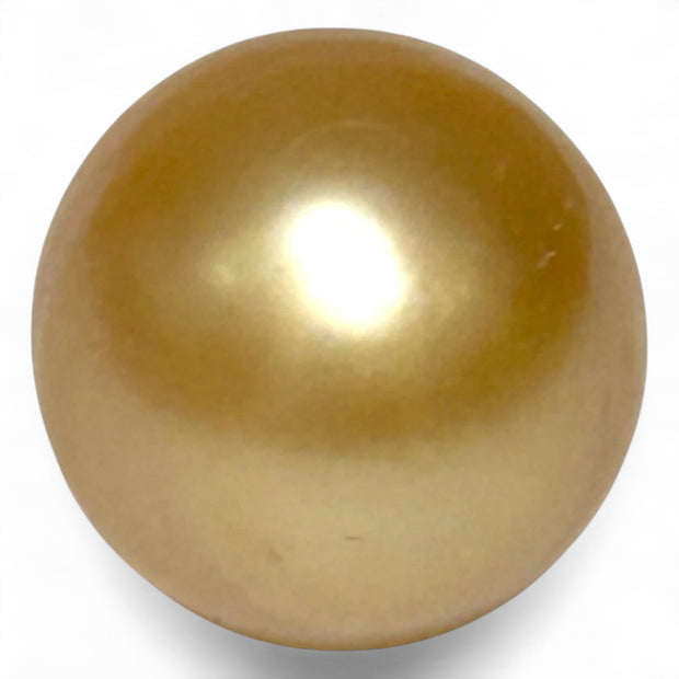 Giant 14.6 x 16mm 23.67 Carat Rich Golden Oval South Sea Loose Pearl