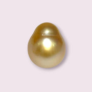 Oval Drop 14.3 x 17mm 23.3 Carats Rich Gold South Sea Pearl Loose