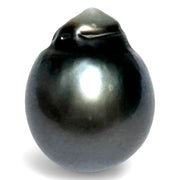 Giant 23.6 Carat 14.3 x 18mm Tahitian South Sea Peacock Gray Pearl