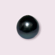 Huge Oval Round 14.6 x 15.4mm Peacock Black Tahitian Sea Pearl Loose