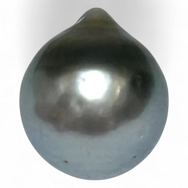Huge 16.8 Carat 12.9 x 14.9mm Tahitian Peacock Black Green Pearl Loose