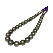 Huge Round 11-13mm 35 pcs Tahitian Peacock Gray Green Pearl 16" Strand