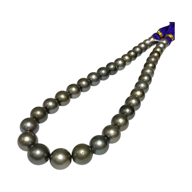 Huge Round 11-13mm 35 pcs Tahitian Peacock Gray Green Pearl 16" Strand