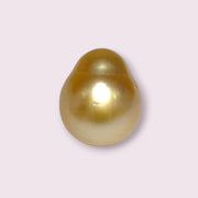 Oval Drop 14.3 x 17mm 23.3 Carats Rich Gold South Sea Pearl Loose