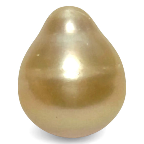 High Quality 14.4 x 17.4mm 23.3 Carat Natural Golden South Sea Pearl