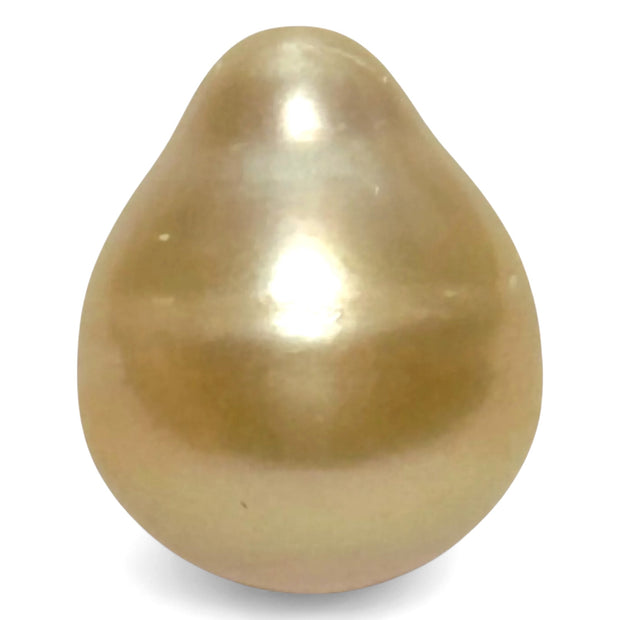 High Quality 14.4 x 17.4mm 23.3 Carat Natural Golden South Sea Pearl