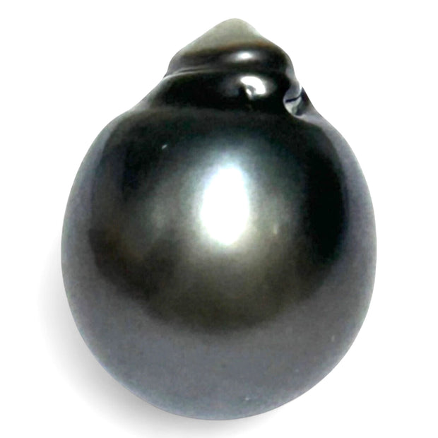 Giant 23.6 Carat 14.3 x 18mm Tahitian South Sea Peacock Gray Pearl
