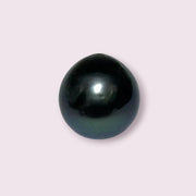 Huge Oval Round 14.6 x 15.4mm Peacock Black Tahitian Sea Pearl Loose