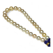 Giant 12 - 16.3mm 30 pcs South Sea Light Golden Round Pearl 16" Strand