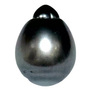 Dazzling 12.7 x 16.8mm 18.3 Carats Tahitian Peacock Black Green Pearl