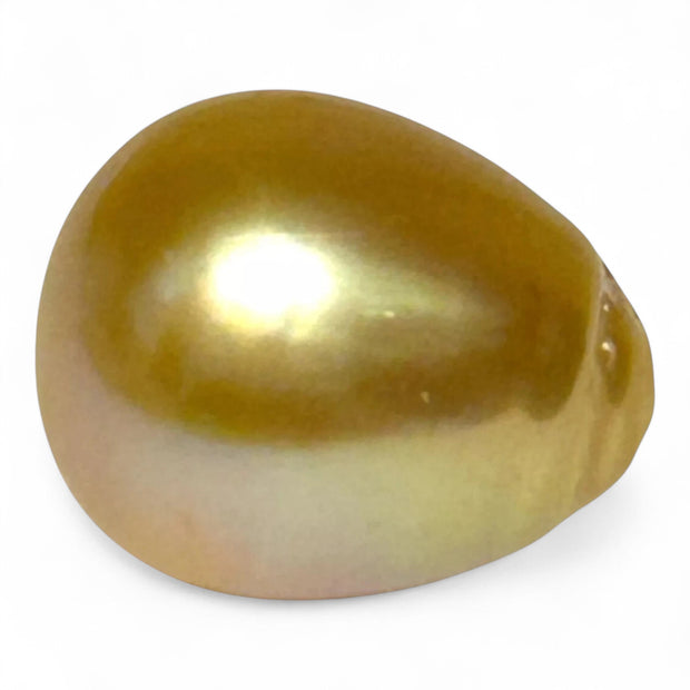 Giant 19.7 Carat 13.2 x 16.2mm Rich Gold Philippines South Sea Pearl