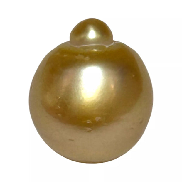 RARE Giant 16.3 x 19.1mm 33.7 Carats Deep Gold South Sea Pearl Loose
