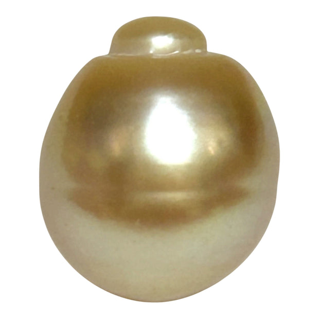 Giant 15.7 x 18.4mm Rich Gold Philippines South Sea Pearl Loose