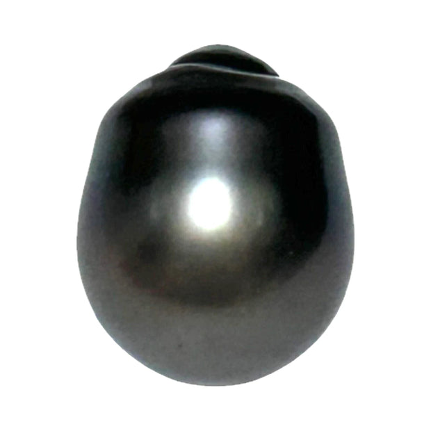 Giant 12.9 x 15.9mm 18.3 cts Tahitian Peacock Black-Green Pearl Loose