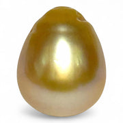 Giant 19.7 Carat 13.2 x 16.2mm Rich Gold Philippines South Sea Pearl