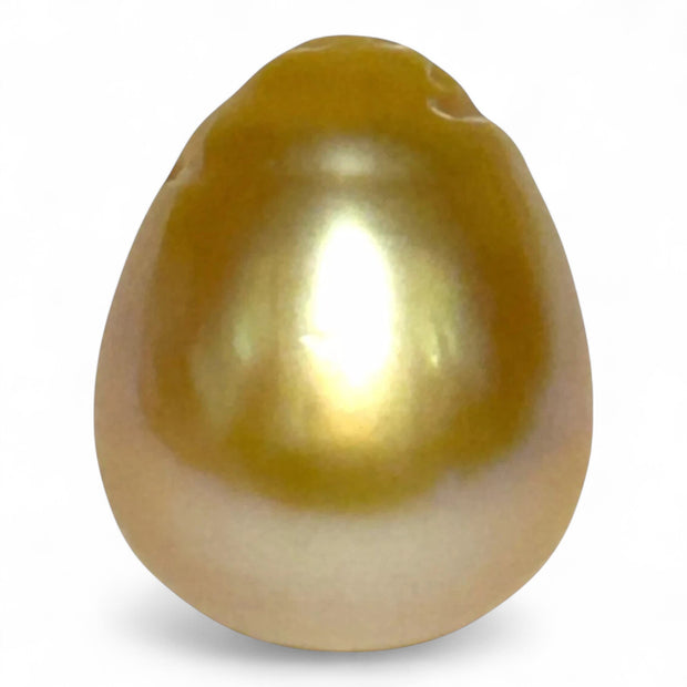 Giant 19.7 Carat 13.2 x 16.2mm Rich Gold Philippines South Sea Pearl