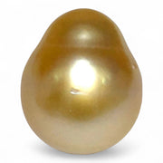 Gorgeous 14.3 x 17mm 23.3 Carats South Sea Pearl – Rich Gold Oval