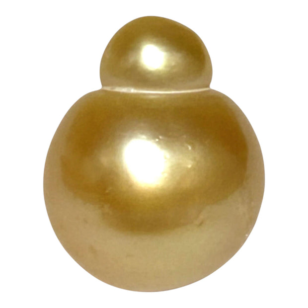 Giant 13.9 x 18.2mm 24.6 Carats Golden Philippines South Sea Pearl